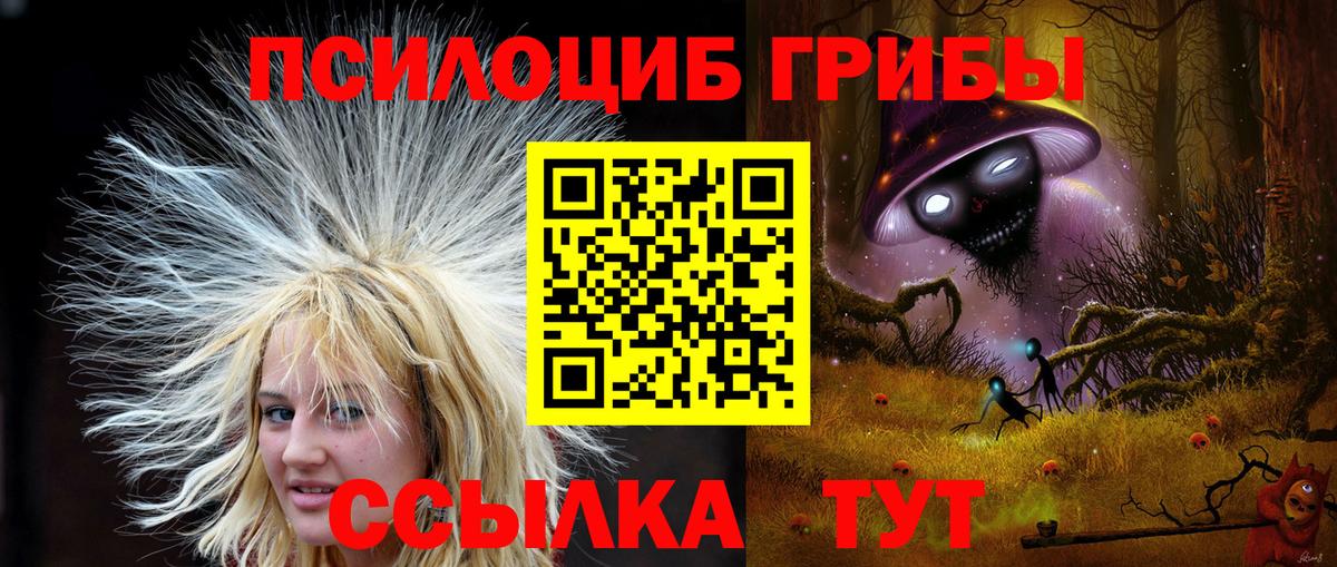 Кызыл  Галлюциногенные грибы MAGIC MUSHROOMS  Вход с VPN  Галлюциногенные грибы прущие грибы 