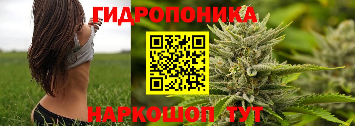 Конопля гибрид  Марихуана планчик  Вход с VPN  Кызыл 